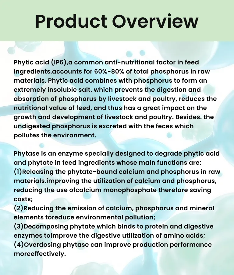 Water-Soluble Feed Phytase