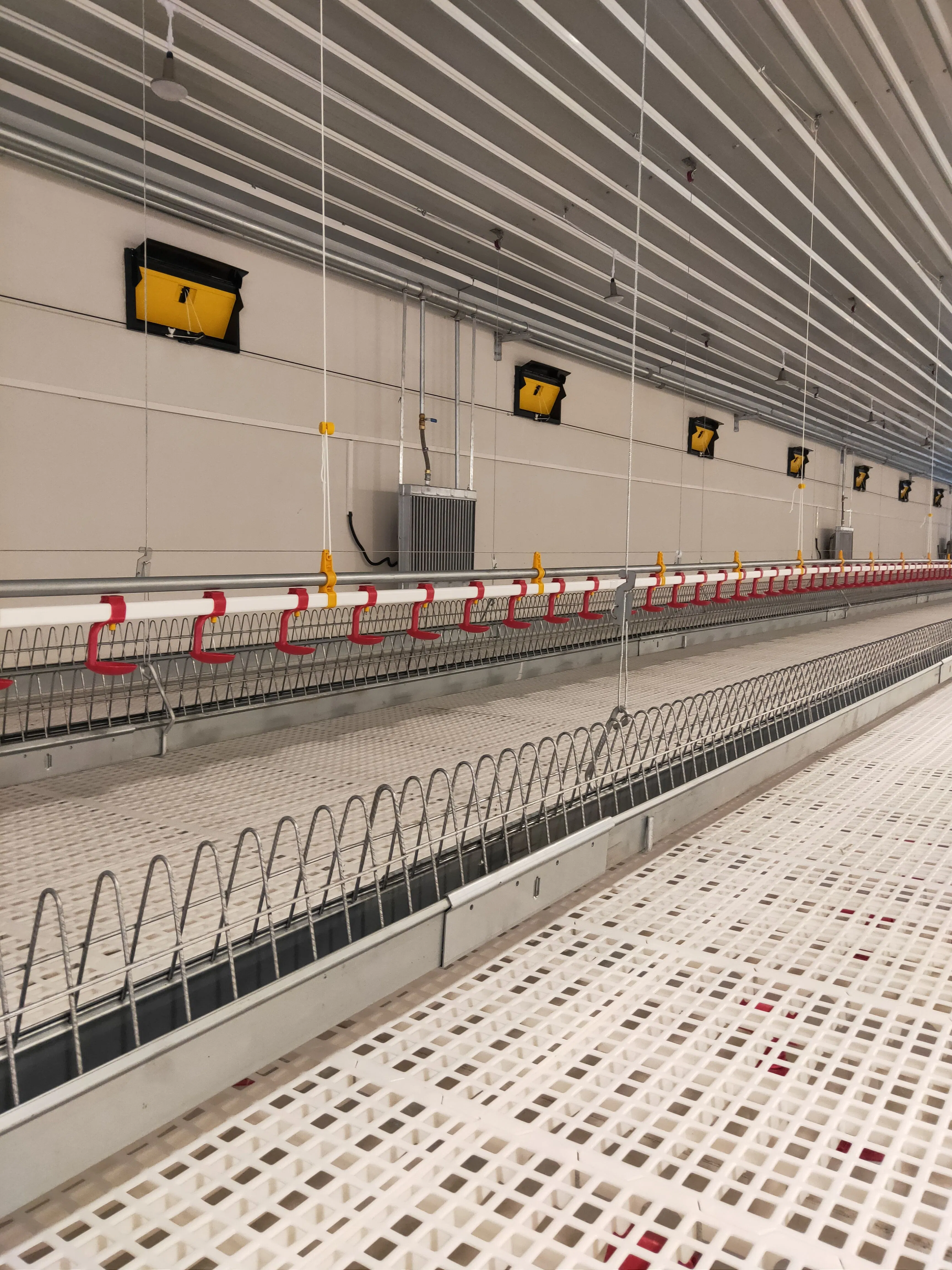 Poultry Farm Equipment: Reliable Breeder Falt Raising System for Layers