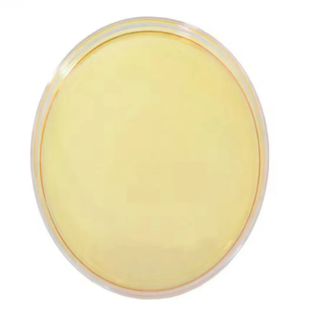 Zinc Water-Soluble Fertilizer Absorption