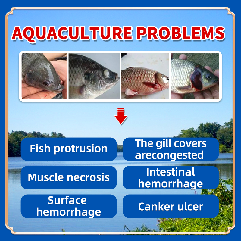 Microecological Balance Lianqiusuzhi Water Quality Optimization Helpers Aquatic Feed Additives