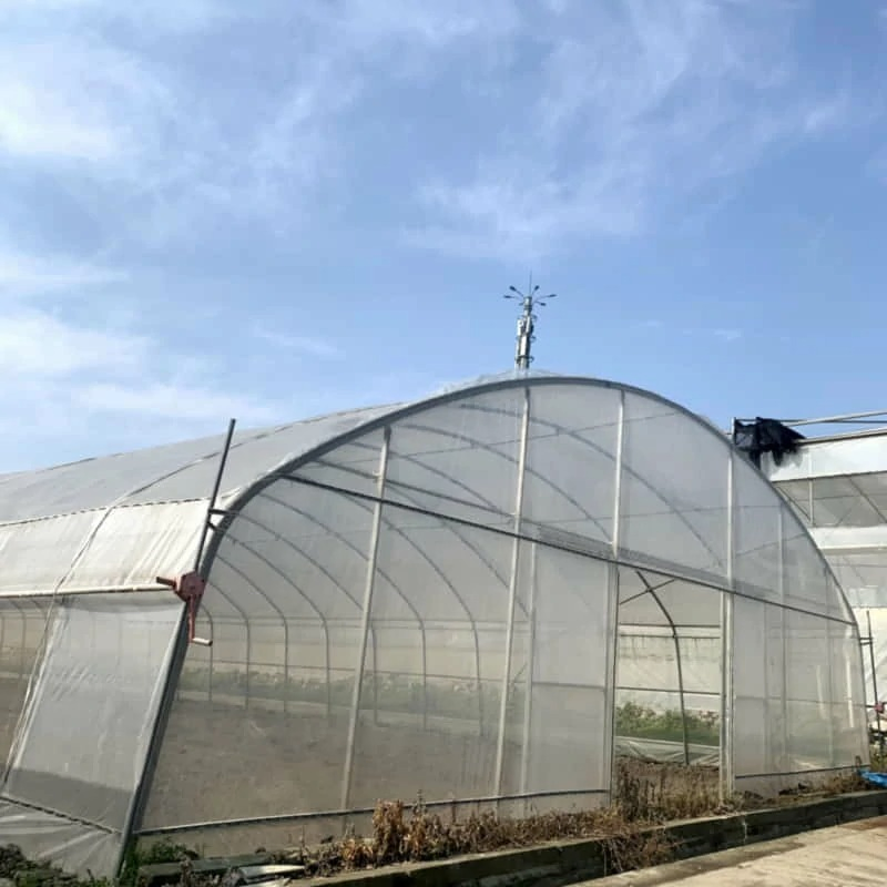 Film Greenhouse for Agricultural Yield Enhancement