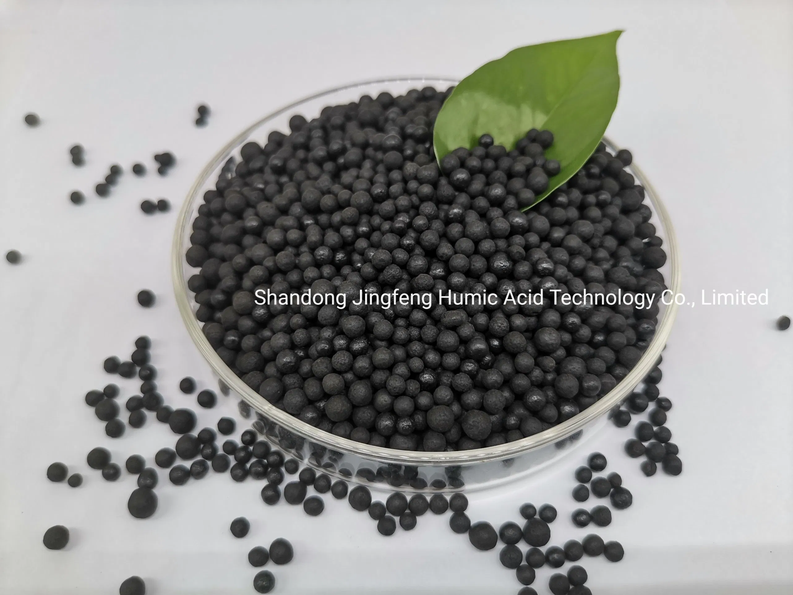 Shiny Granular Organic Fertilizer Humic Acid Amino Acid NPK Granule Agriculture Fertilizer