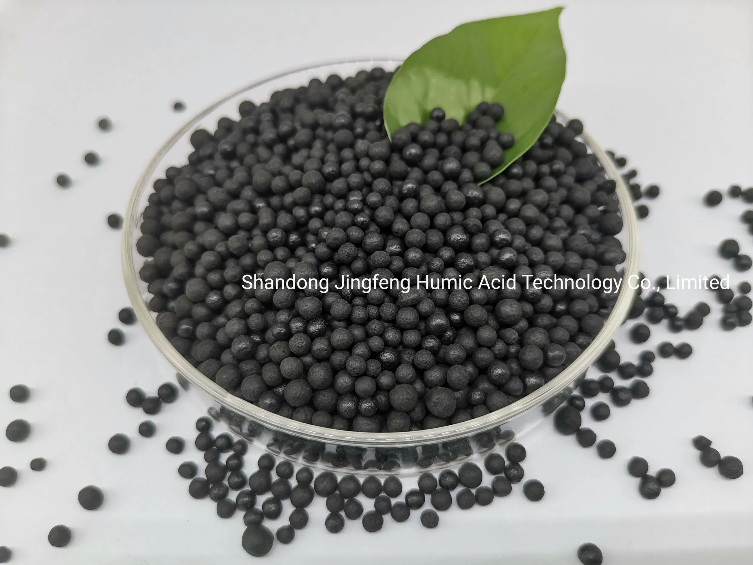 Controlled Release Agricultural Organic Fertilizer Granules Humic Acid Type Amino Lysine Acid Shiny Ball