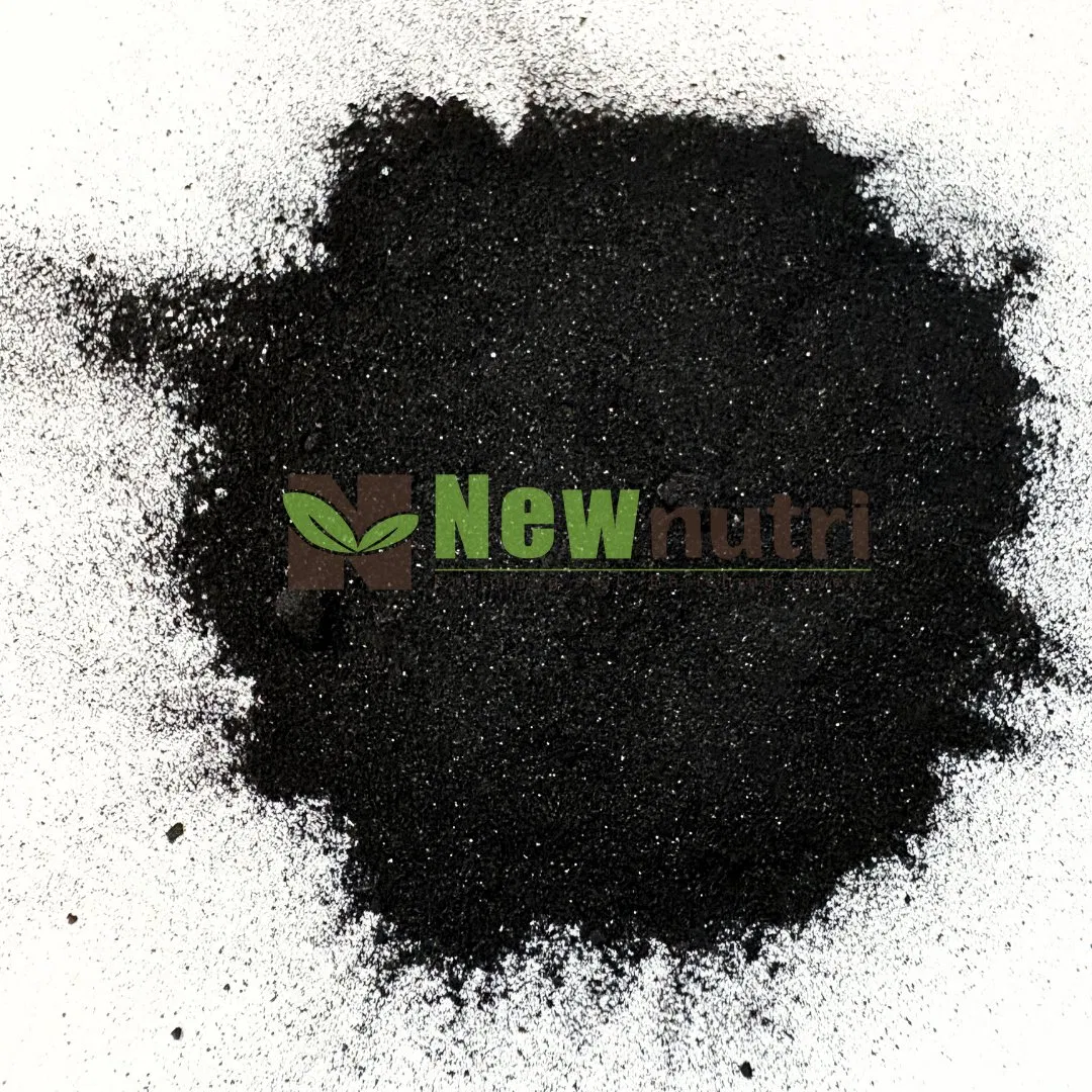 Bio Humic Acid Organic Fertilizer Potassium Humate Raw Material for Sustainable Agriculture