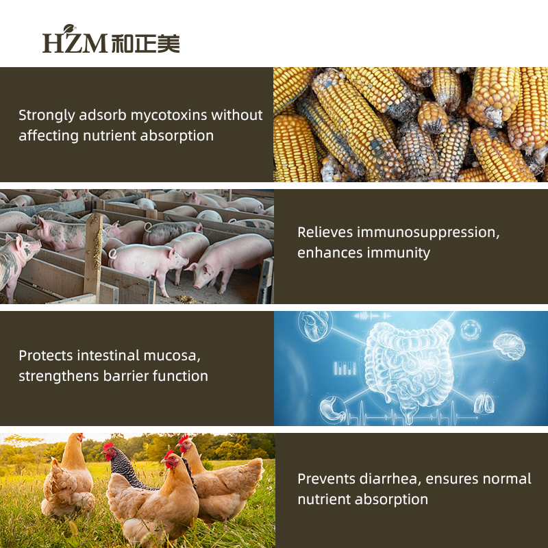 Hzm Group Modified Montmorillonite S-Mont Toxin Binder for Breeding Poultry and Livestock