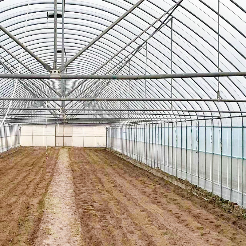 Custom Tarpaulin Color Greenhouses for Optimal Crop Yield Enhancement