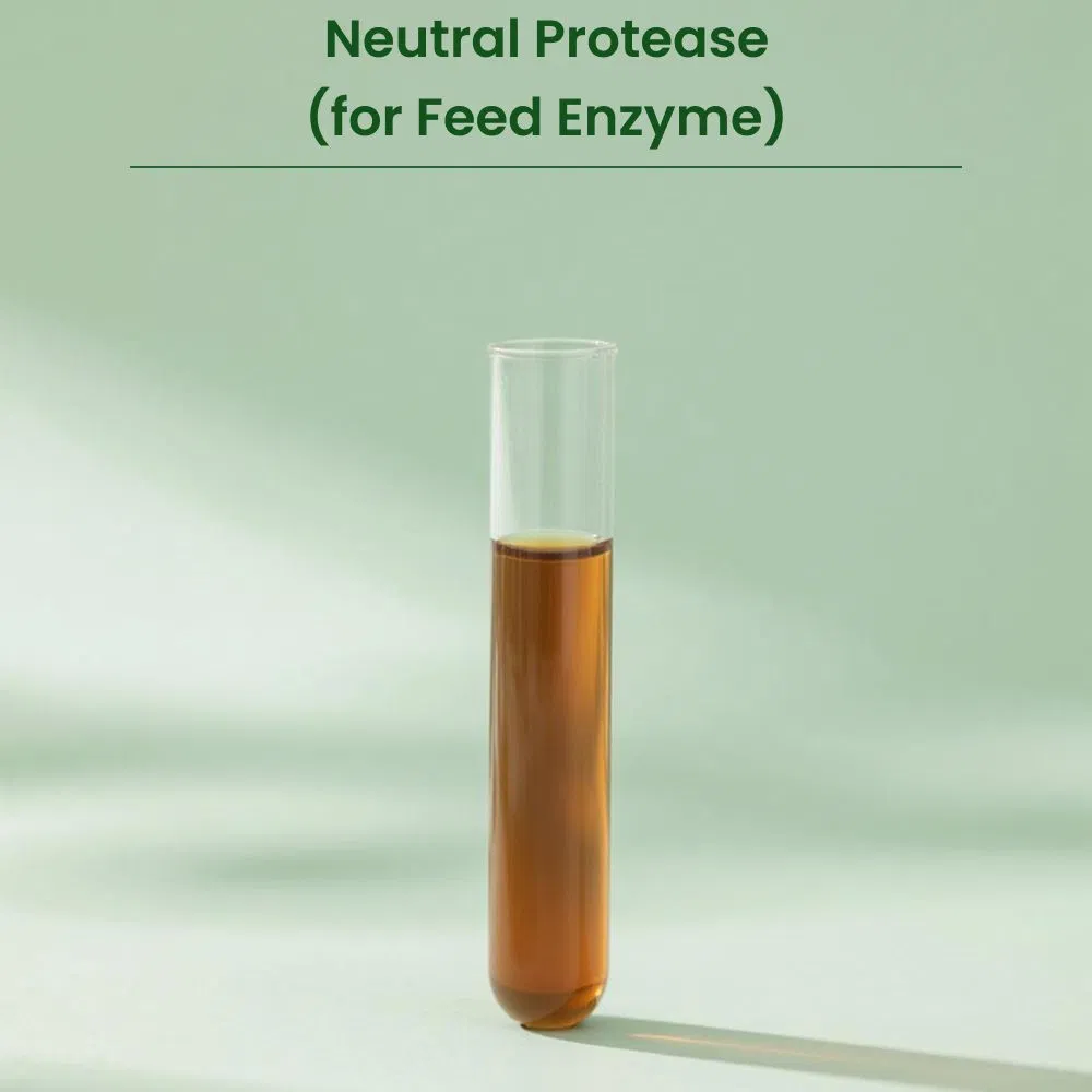Halal Liquid Feed Grade Neutral Protease Enzyme Improve Animal Growth