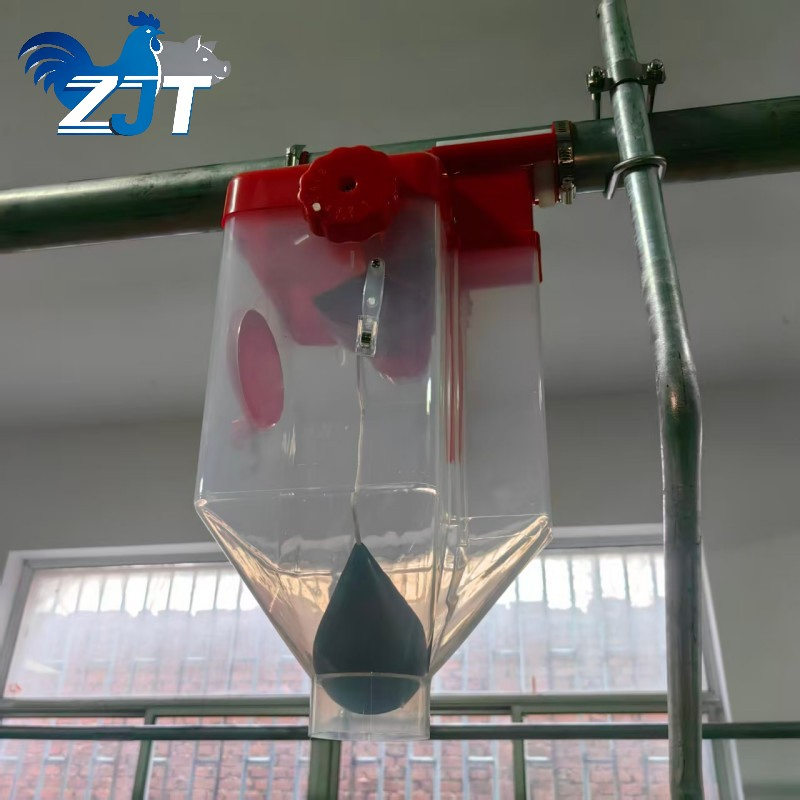 Advanced Automatic Feeding System for Farm Pigs with Precision Distribution