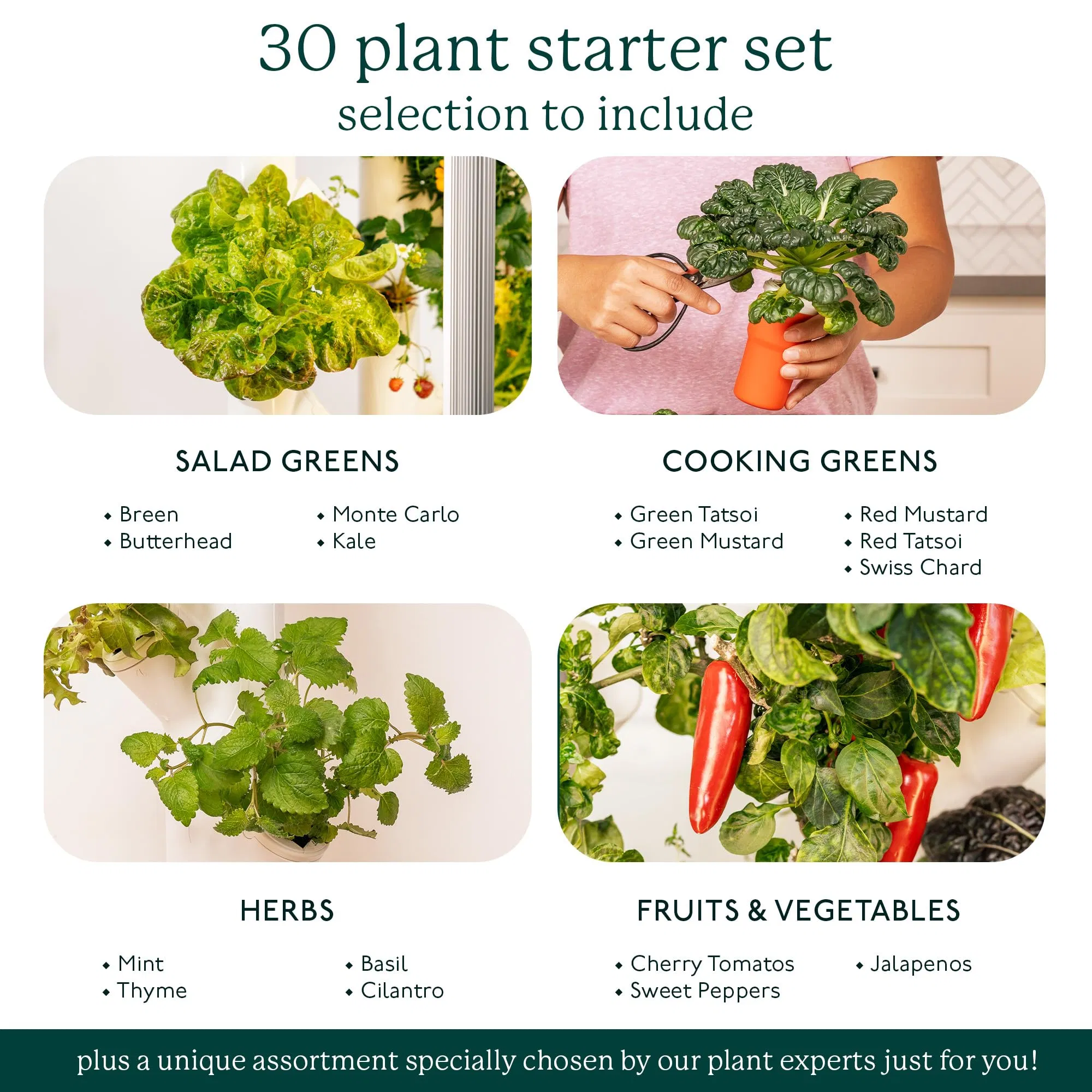 OEM Vertical Garden Planter Non-GMO Indoor Herbs Vegetables Hydroponics Growing System Kit for Your Home