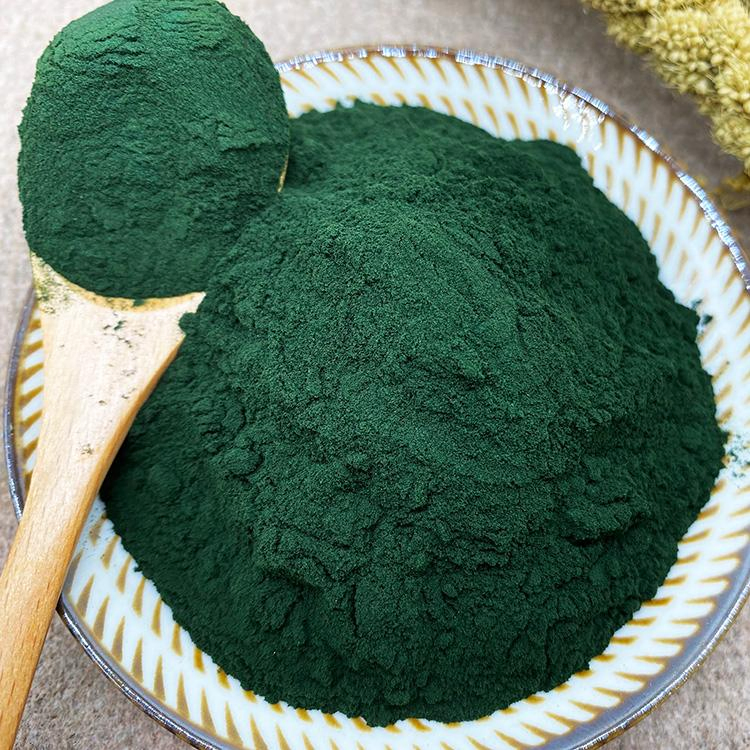 Food-Grade Microalgae Protein, Natural Chlorophyll Colorant, Plant Protein Nutrition-Enhancing Raw Material