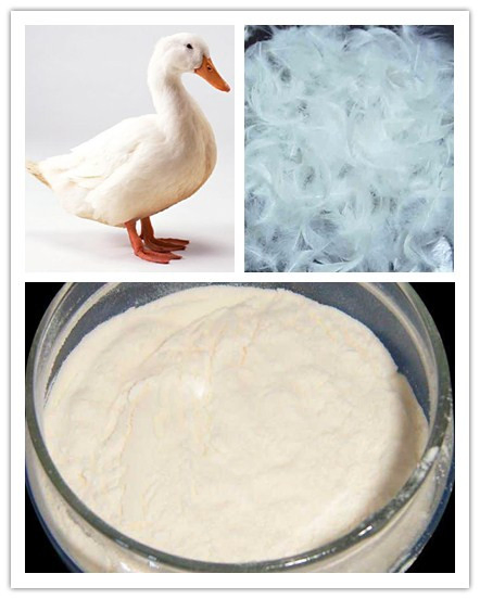 Hydrolyzed Animal Protein as Pet Food Ingredients