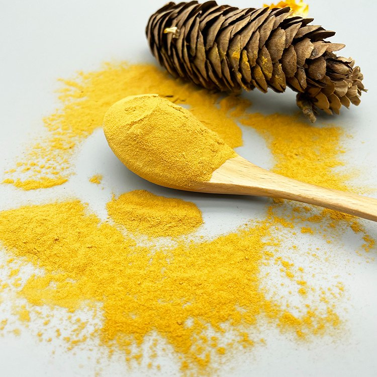 CAS 9010-10-0 Tvp Organic Hydrolyzed Soybean Soy Protein