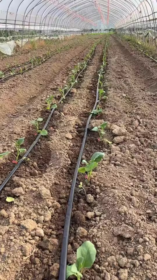 High-Quality Drip Tape for Sustainable Agriculture and Landscaping