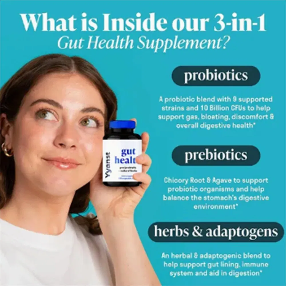 OEM/ODM Gut Health Support Probiotics and Prebiotics Capsules for Digestion