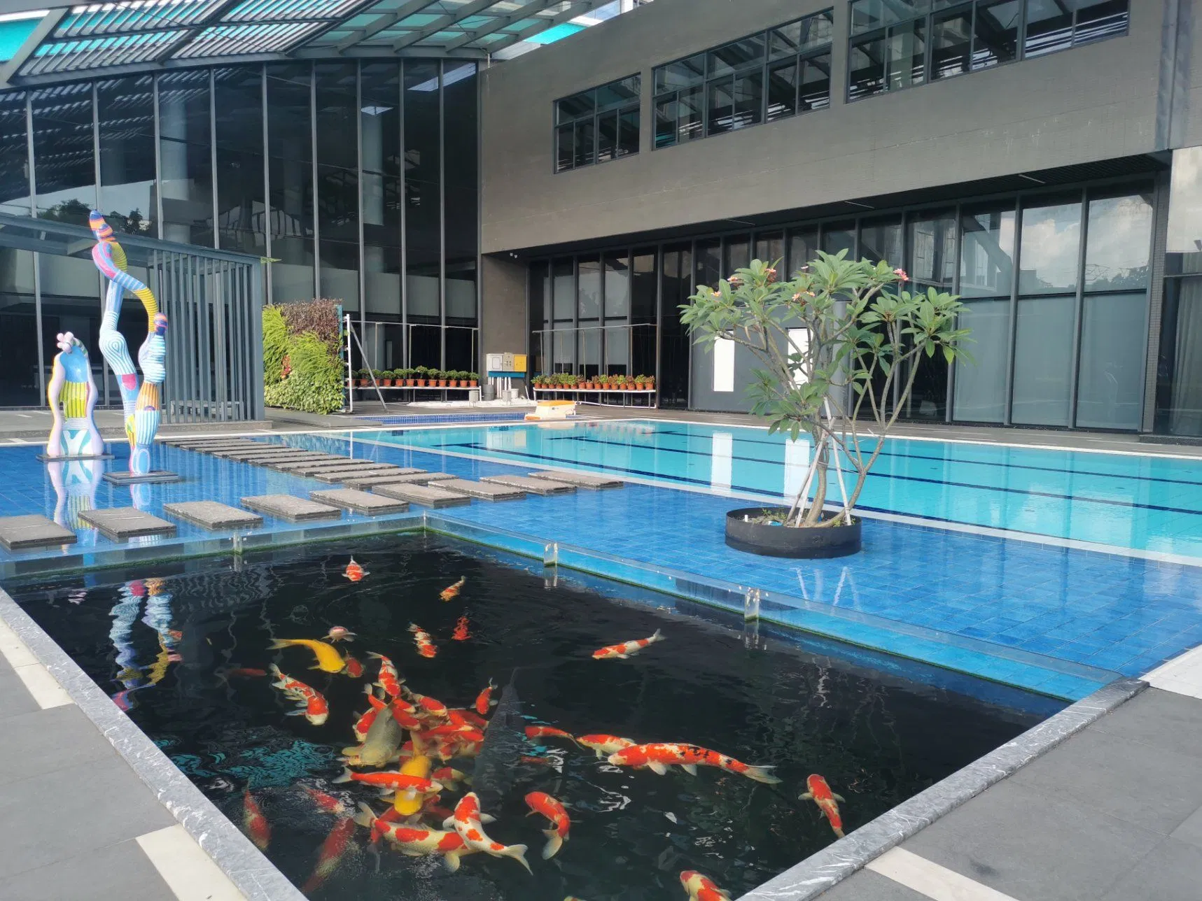 Laswim Reliable Ozone Disinfection Essential for Sustainable Aquaculture Systems