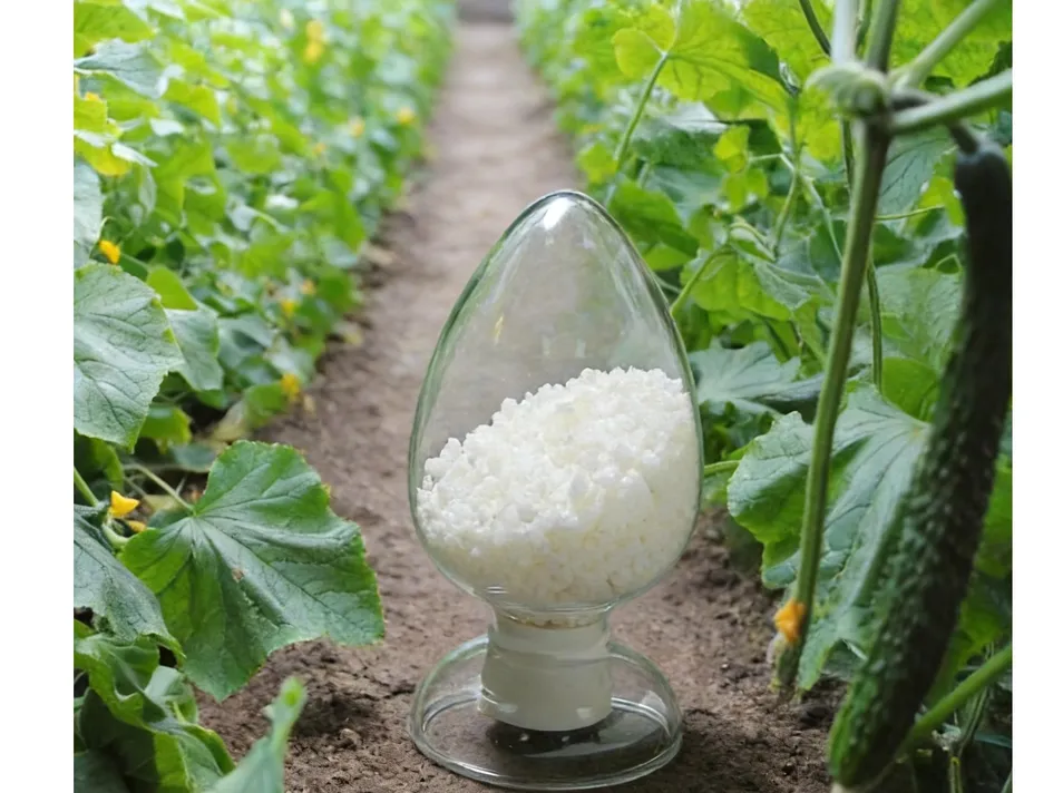 Soil Health Price SAP