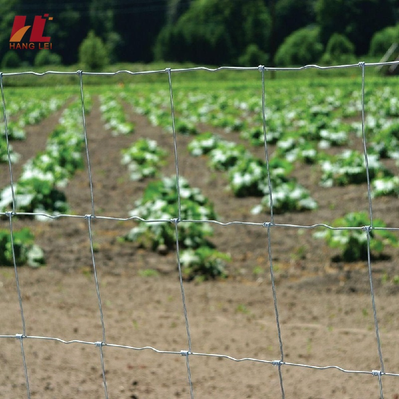 Sustainable Agriculture Cattle Fence for Eco Farm