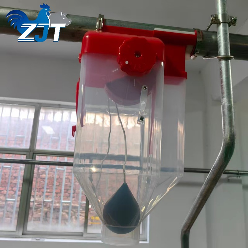 a Quantitative Cup-Type Automatic Pig Feeding System for Pigs