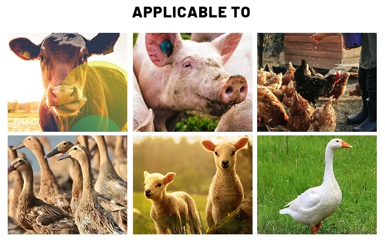Feed application animals