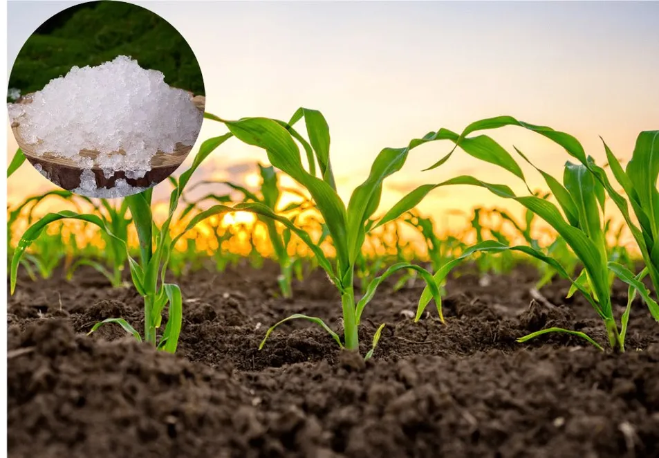 Potassium Polyacrylate Agricultural Gel