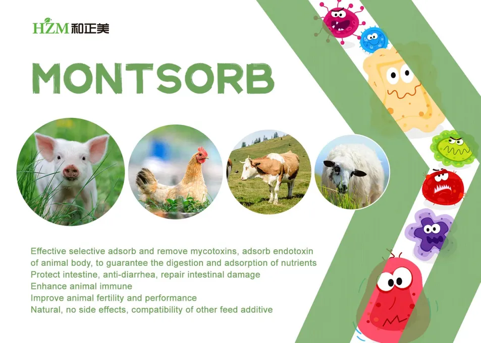MONTSORB Product