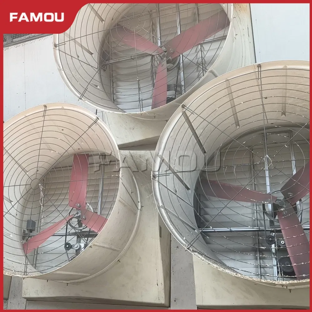 Advanced H Type Layer Automated Battery Chicken Cage for Poultry Farm