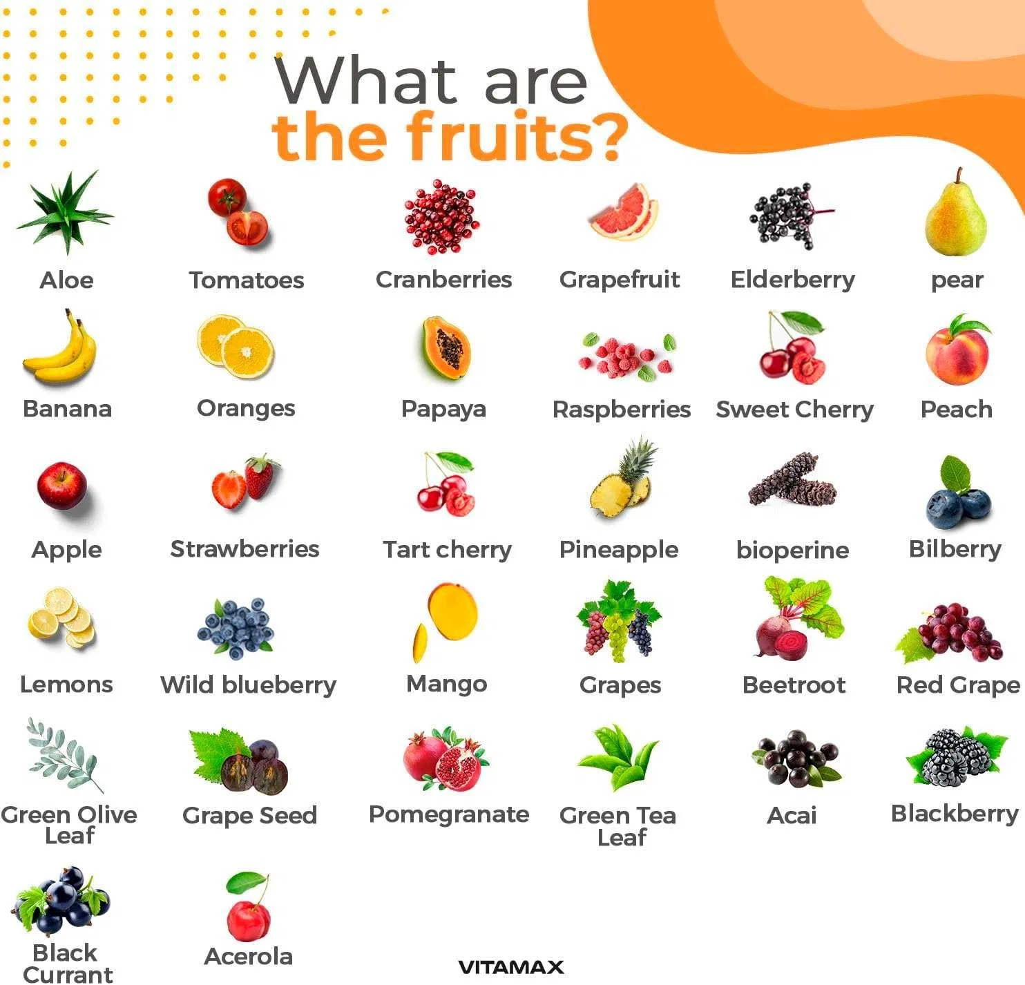 Gut Health Support Capsules with Fiber Cleanse for Weight Loss Natural Slimming Detox and Digestive Wellness