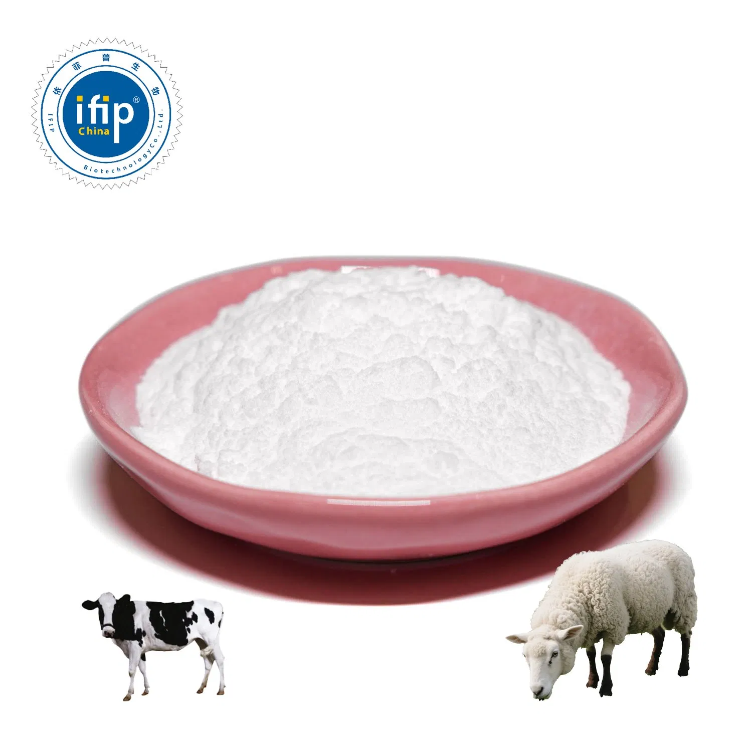 N- Carbamylglutamate for Advanced Piglet Nutrition Fortifier for Optimal Intestinal Growth