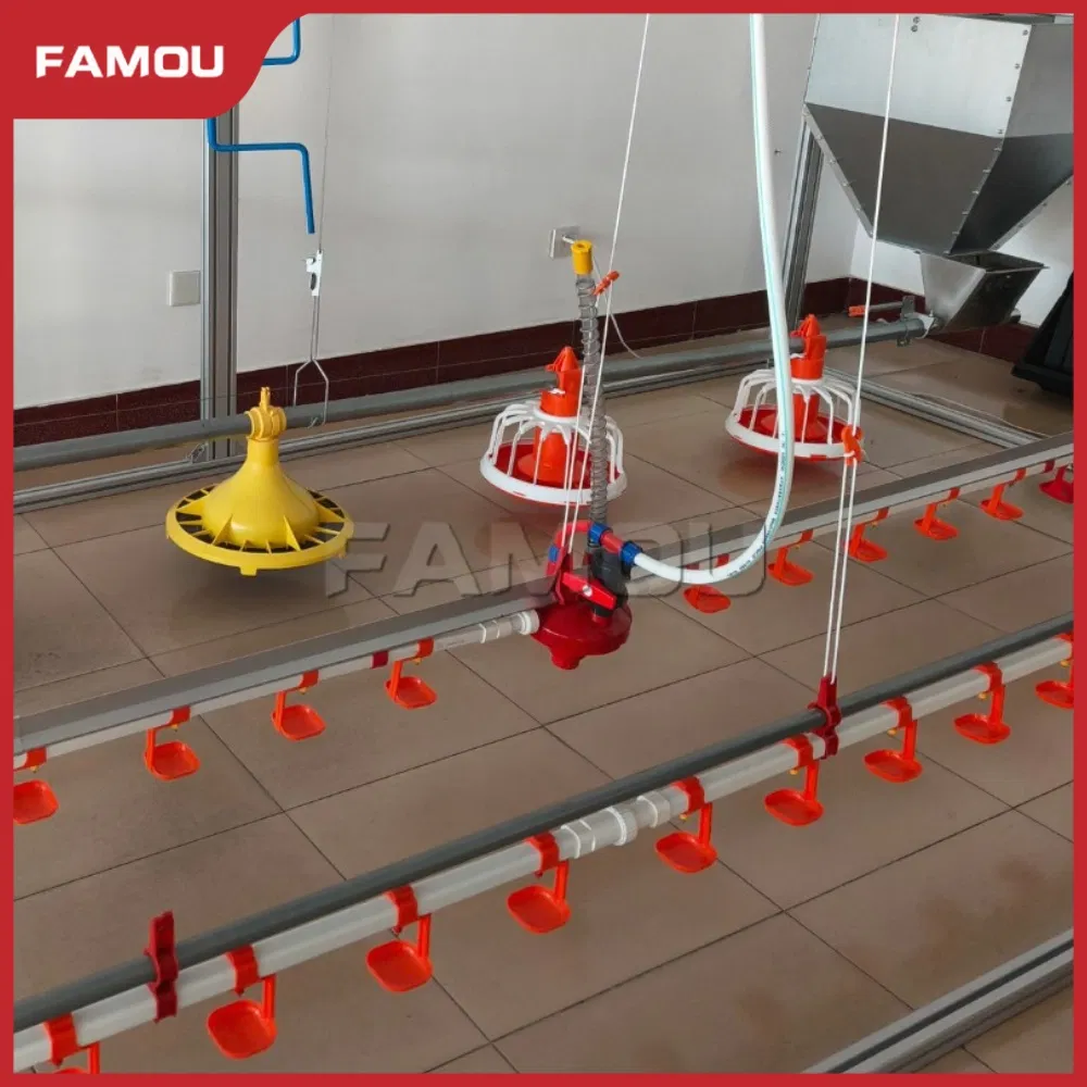 Floor Breeder System Equipment for Poultry Broiler Floor Raising and Growth Optimization