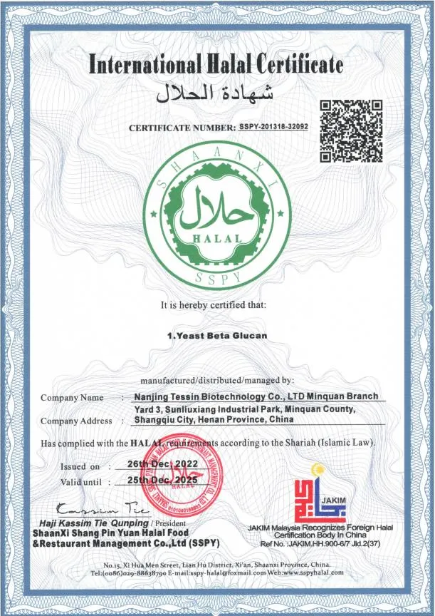 Certification 1