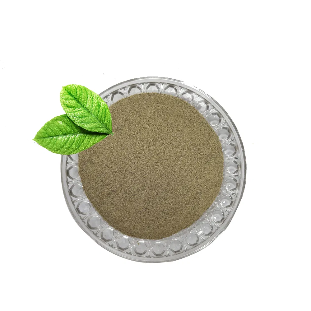 Top Quality Single Cell Protein Mycoprotein 70% Promote Animal Growth