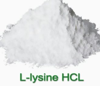 Wholesale China Lysine/ Threonine/ Tryptophan/Methionine Feed Additive with Best Price