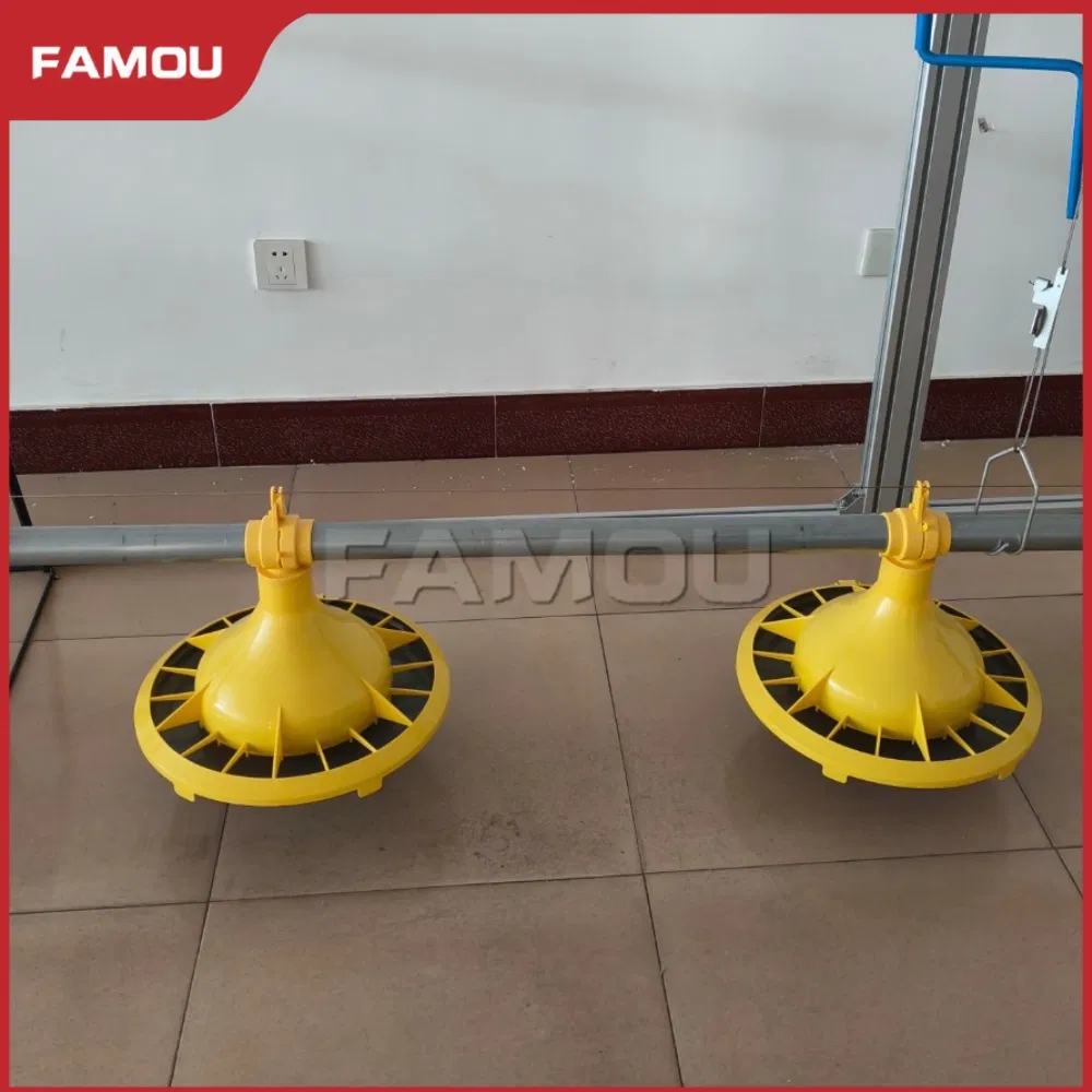 Floor Breeder System Equipment for Poultry Broiler Floor Raising and Growth Optimization