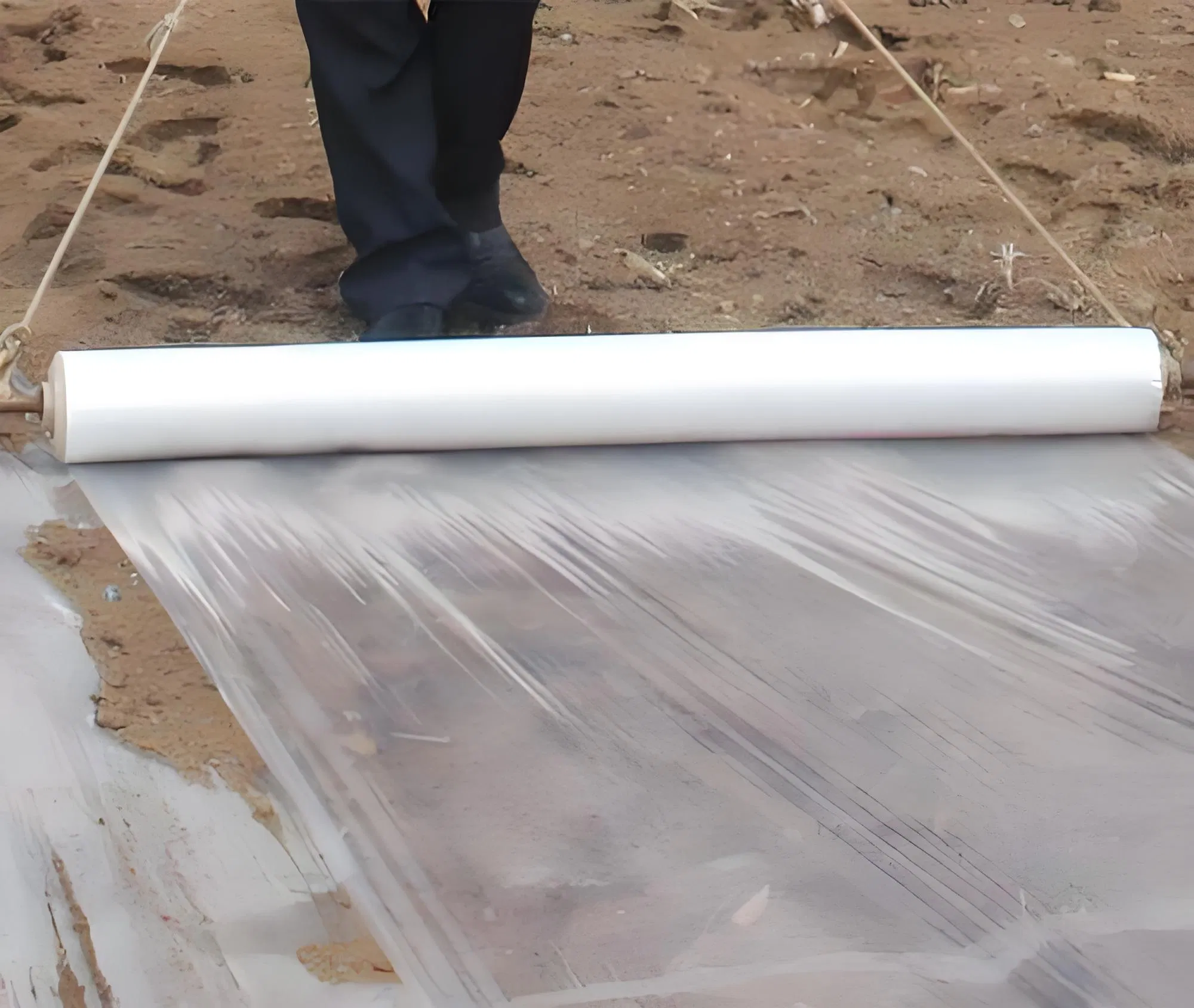 Biodegradable Eco Friendly Mulch Film for Sustainable Agriculture