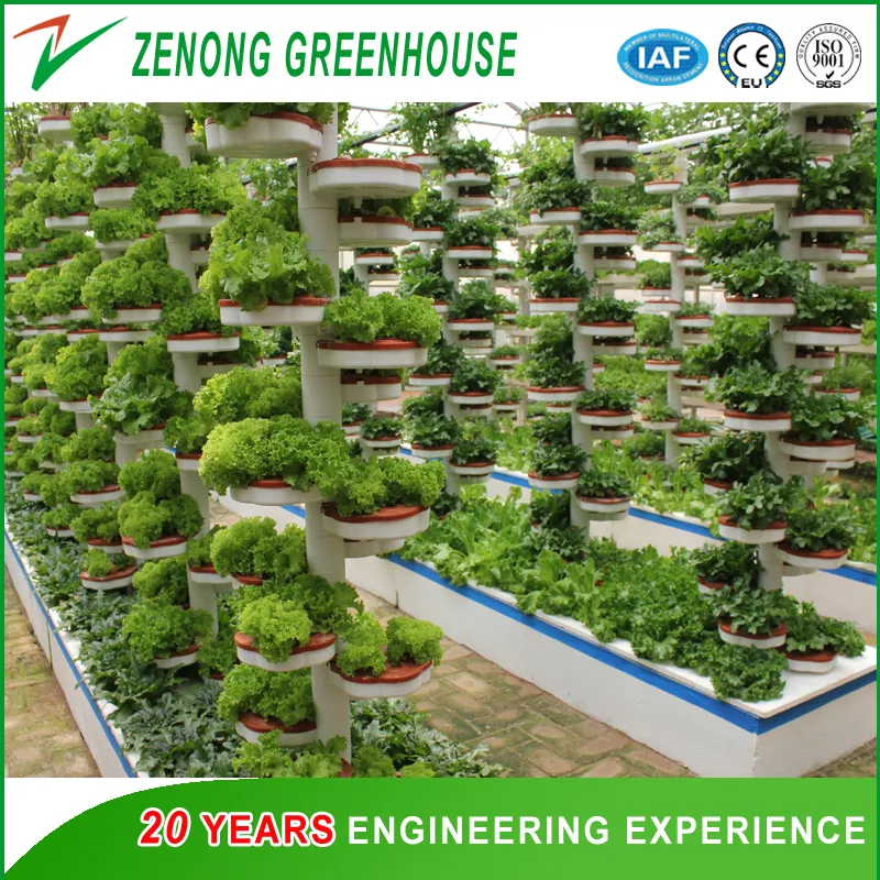 Hydroponics System 4