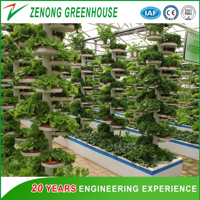 Bionic Spirally-Coiling Model Hydroponics System for Leafy Vegetables for Sale