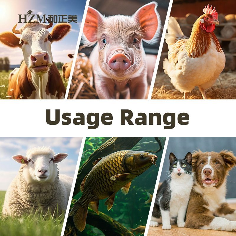 Hzm Group Modified Montmorillonite S-Mont Toxin Binder for Breeding Poultry and Livestock