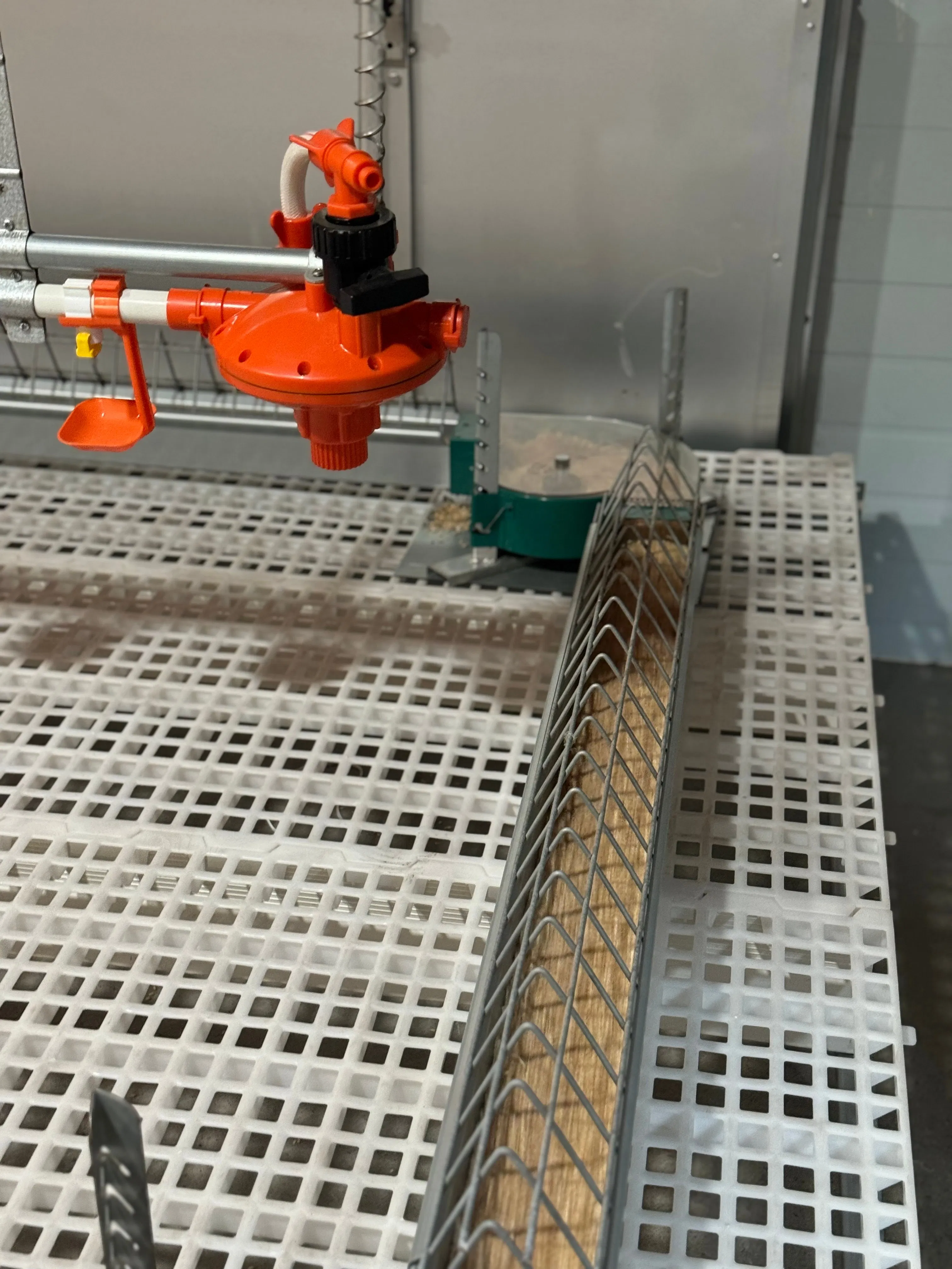 Poultry Farm Equipment: Reliable Breeder Falt Raising System for Layers