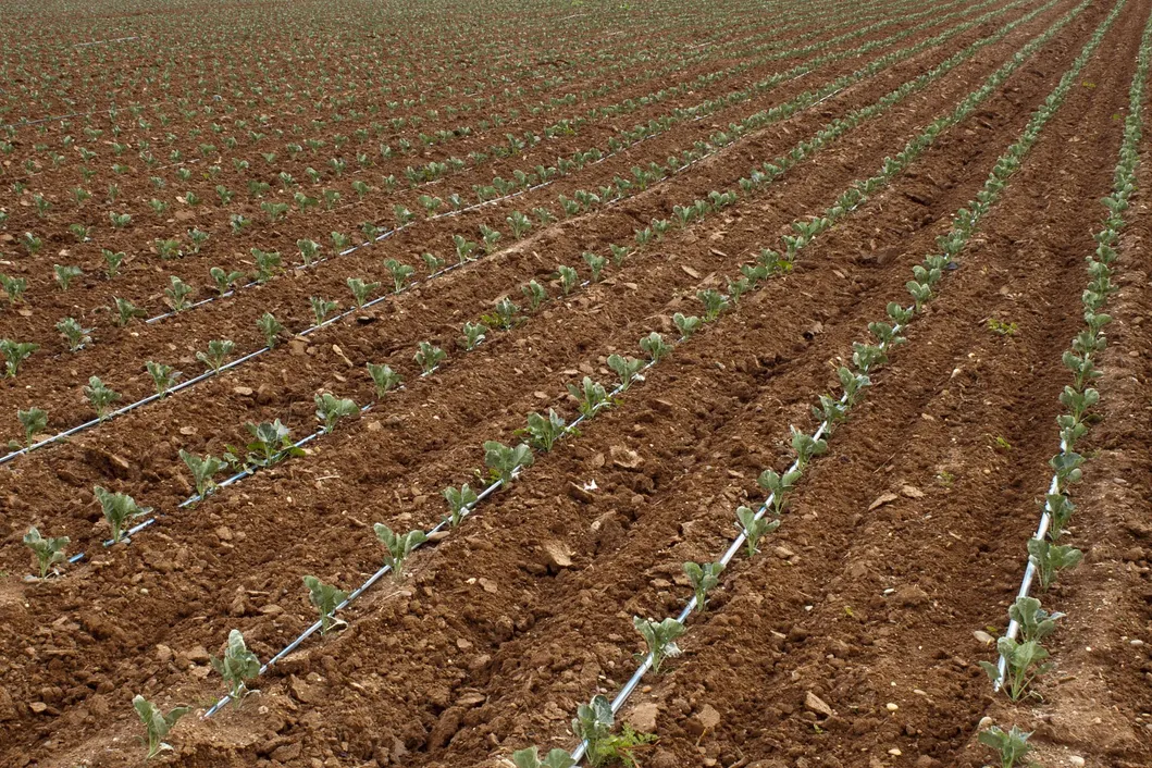 Irrigation Feature 1