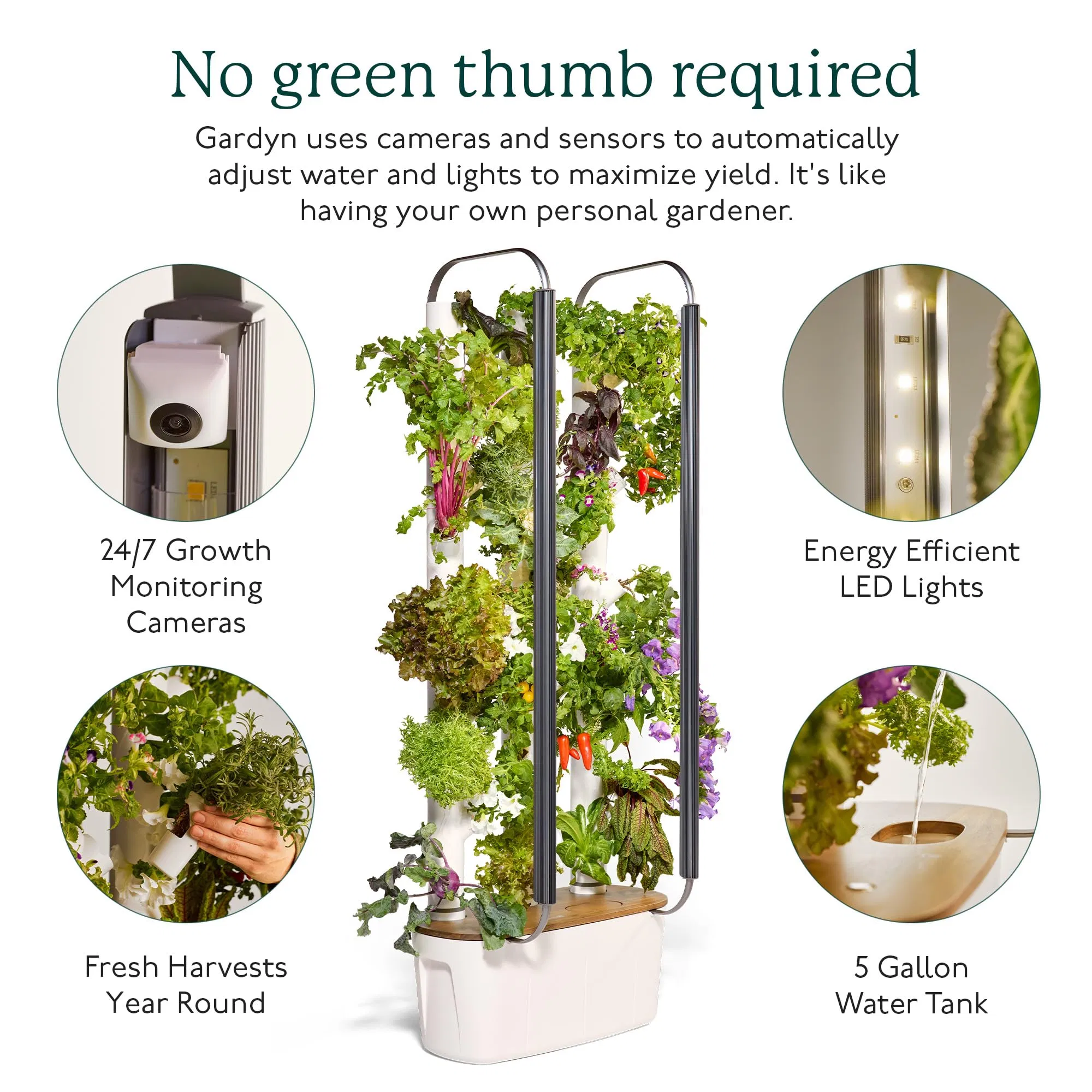 Gardyn Hydroponics Growing System 3.0 Vertical Garden Planter Indoor Smart Garden Includes 30 Nongmo Indoor Plants Herbs Vegetables LED Grow Lights for Home