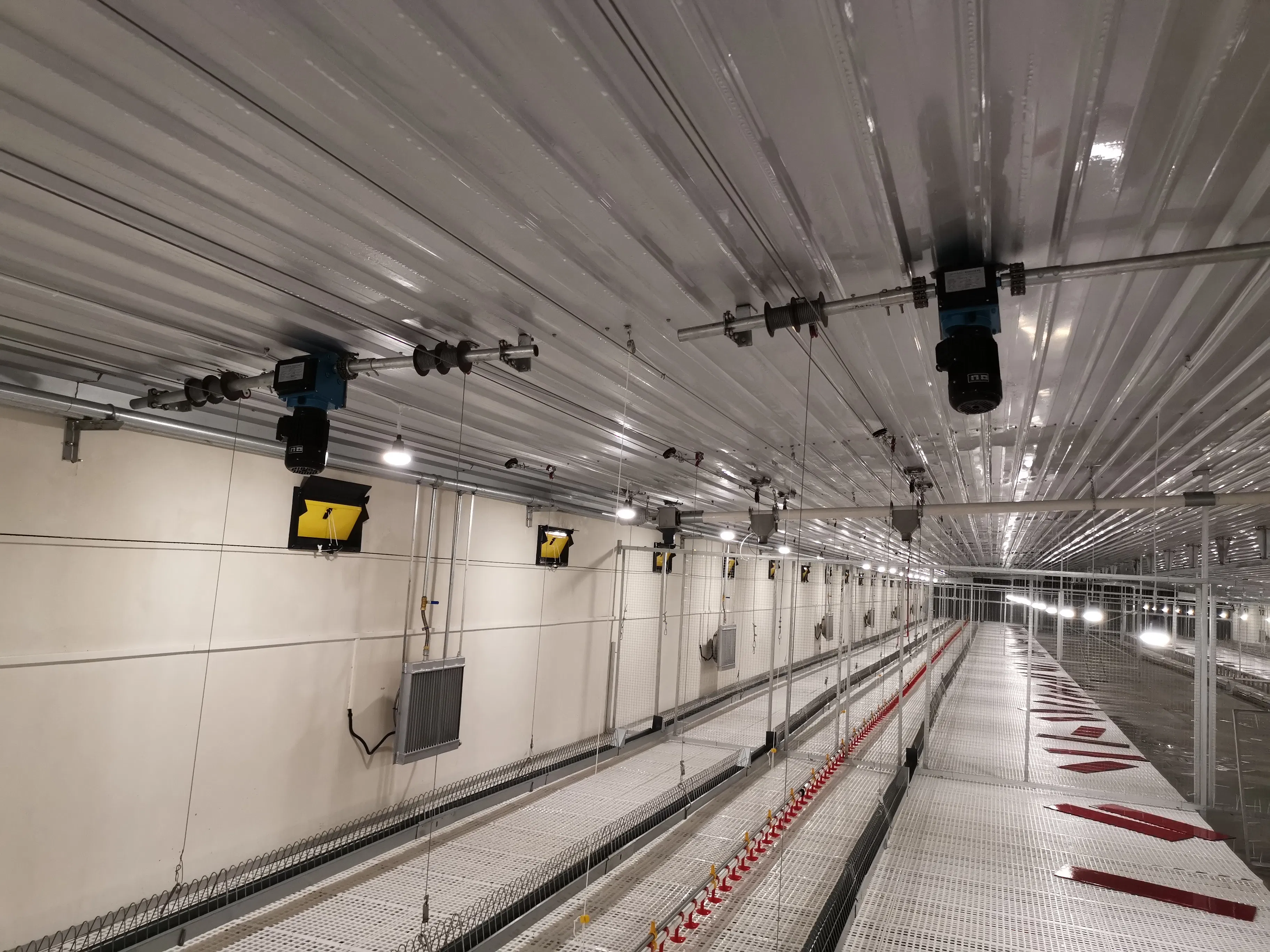 Poultry Equipment: Breeder Falt Raising System for Chicken and Layer Use