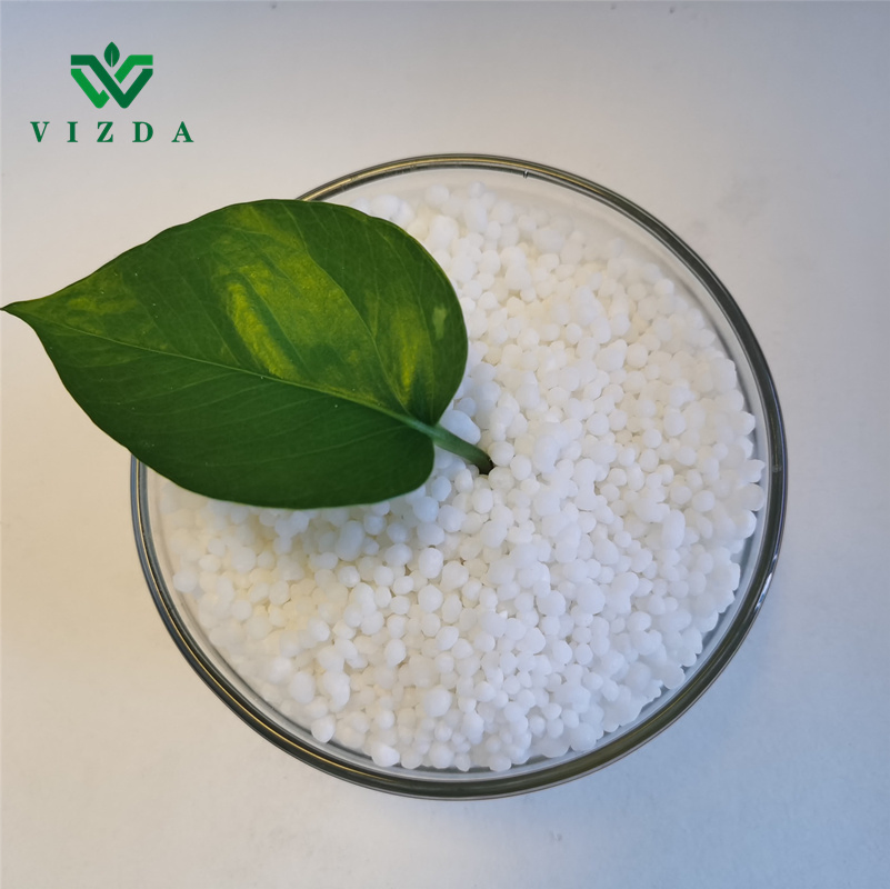 Premium Calcium Nitrate Granules for Optimal Plant Growth