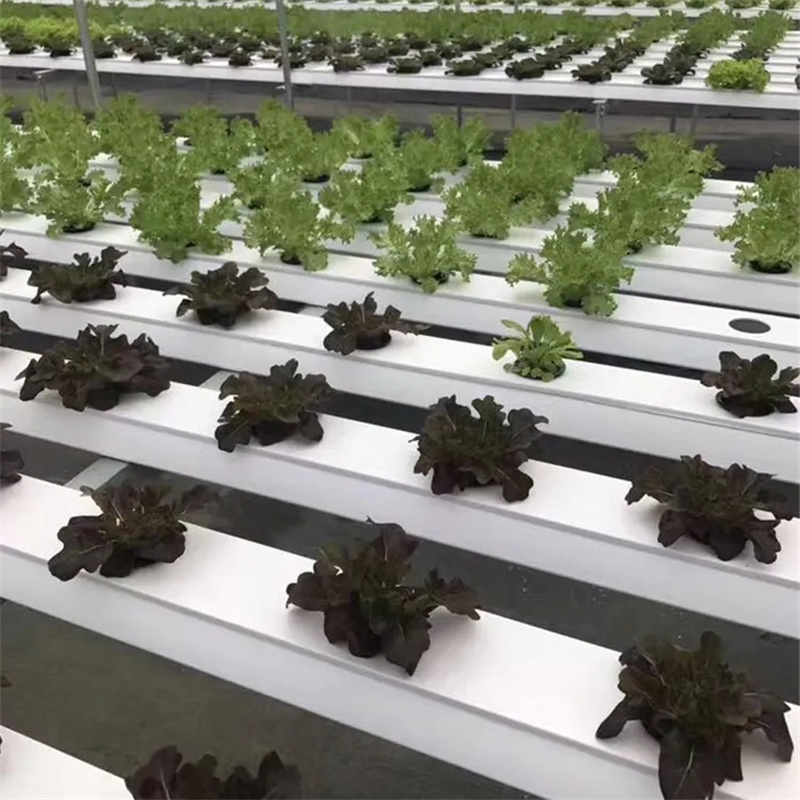 Hydroponic Growing PVC Pipe Gutter Greenhouse Aquaponic Nft Channel System