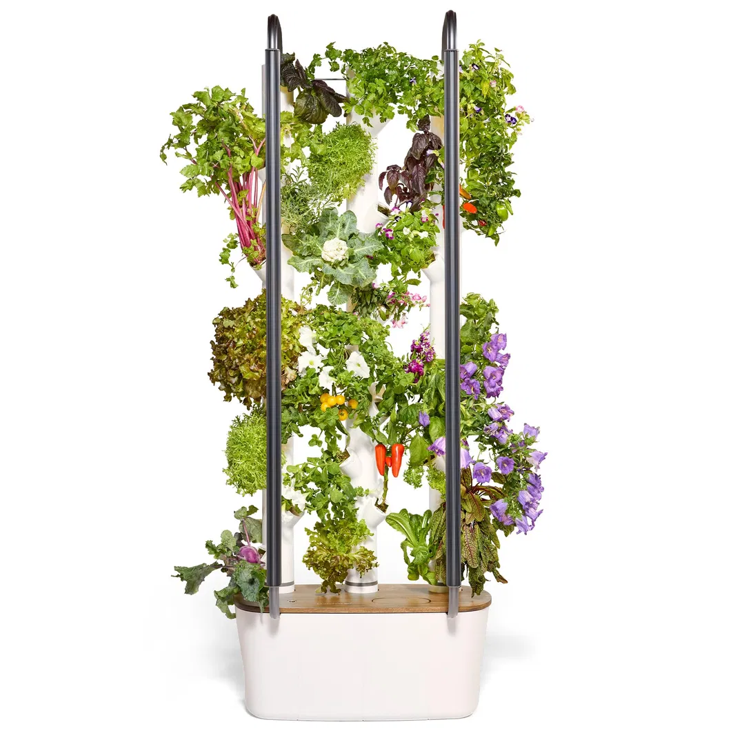 Hydroponics Growing System