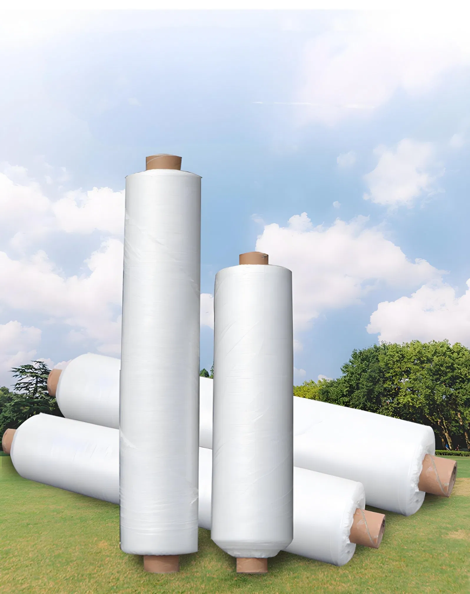 Biodegradable Eco Friendly Mulch Film for Sustainable Agriculture