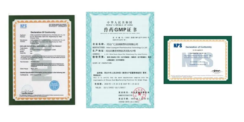 Professional Services