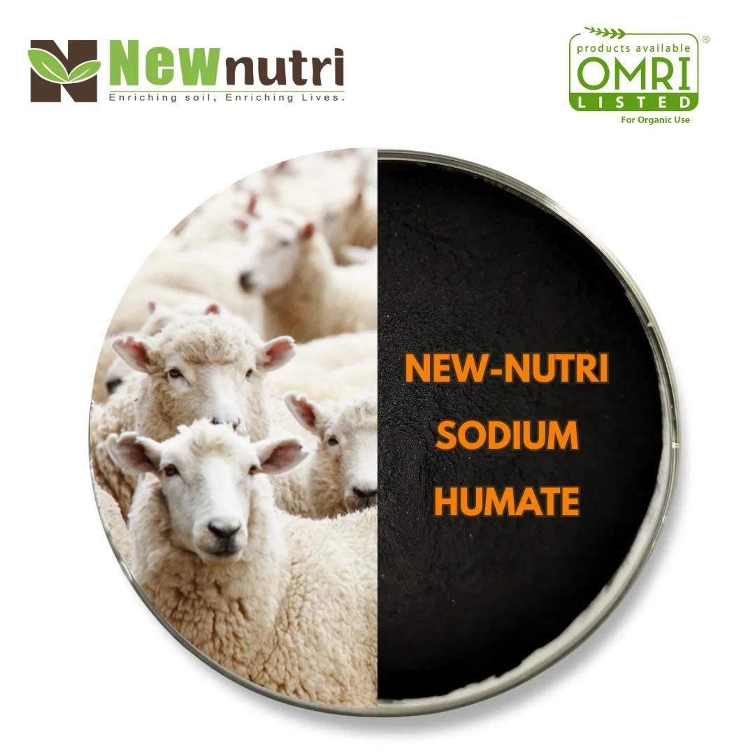 Natural Sodium Humate Bio Organic Fertilizer for Livestock and Poultry Feeding Solutions