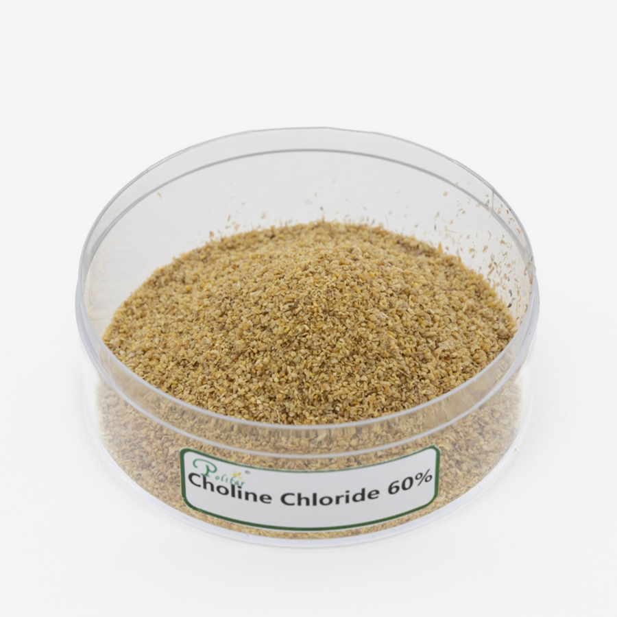 Choline Chloride 60%-75% Optimize Animal Feed for Growth and Reproduction