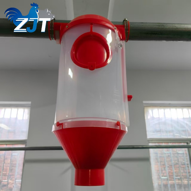 High-Quality Pig Feeding System with Quantitative Cups for Pig Farms