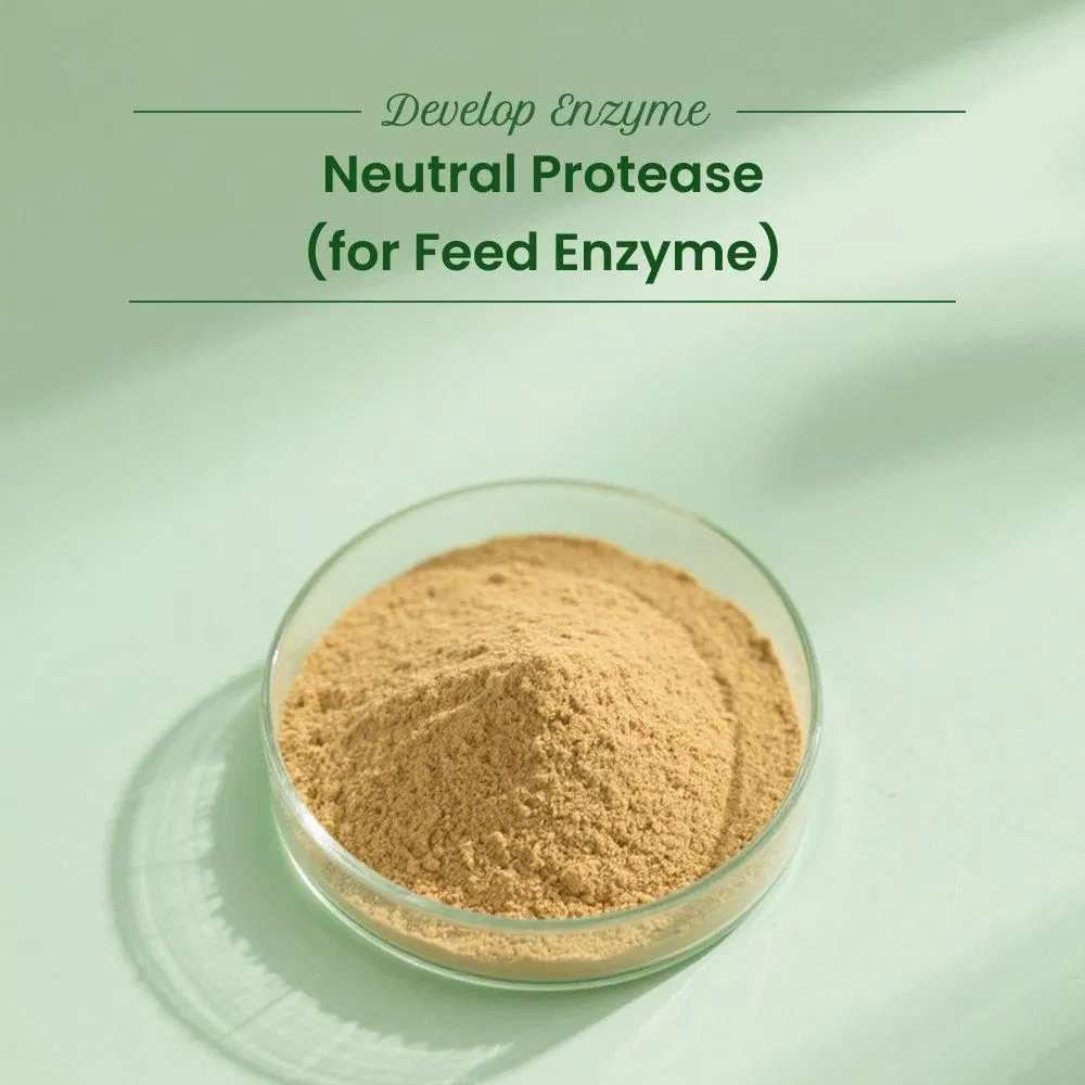 Halal Feed Grade Neutral Protease Enzyme Improve Animal Growth